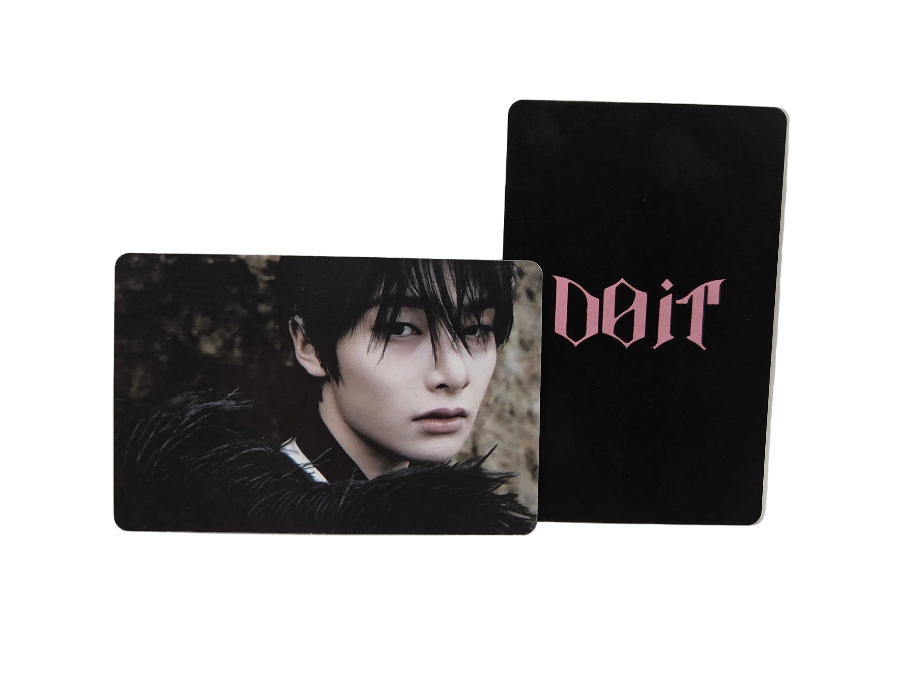 Stray Kids Photocard – “DO IT” Edition